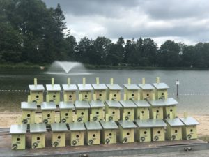 Witven_koolmeezen ter bestrijding van processierups