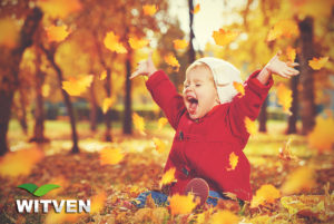Witven_Veldhoven_vier de herfst